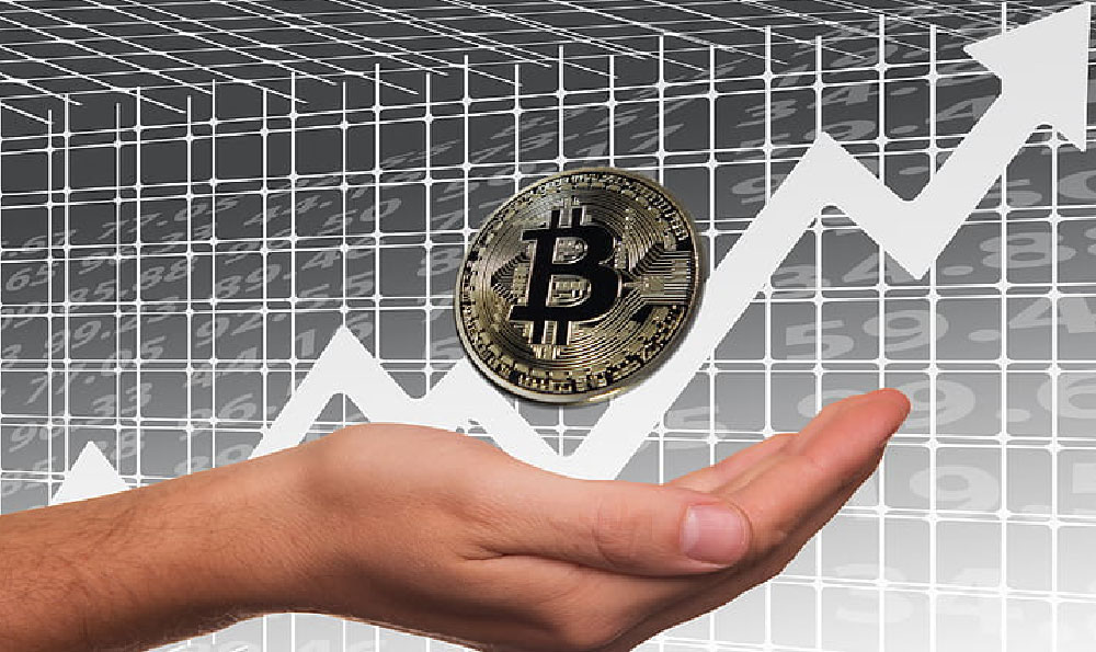 C 类与 A 类基金区别：投资决策与收益之道