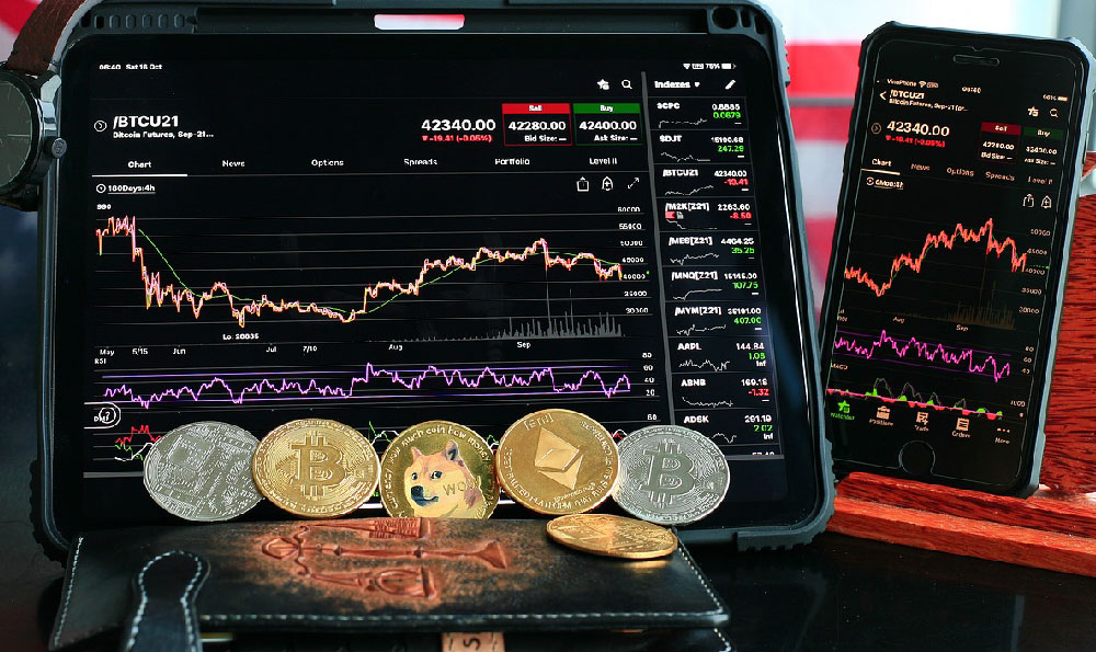 棉花进口配额，哈萨克斯坦棉花质量怎么样